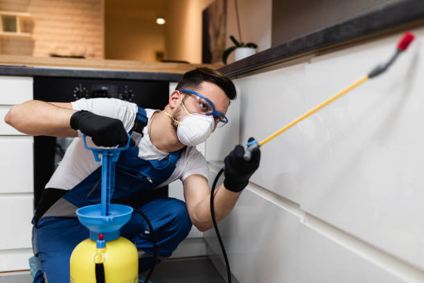 Best Bed Bug Extermination  in Green Island, NY
