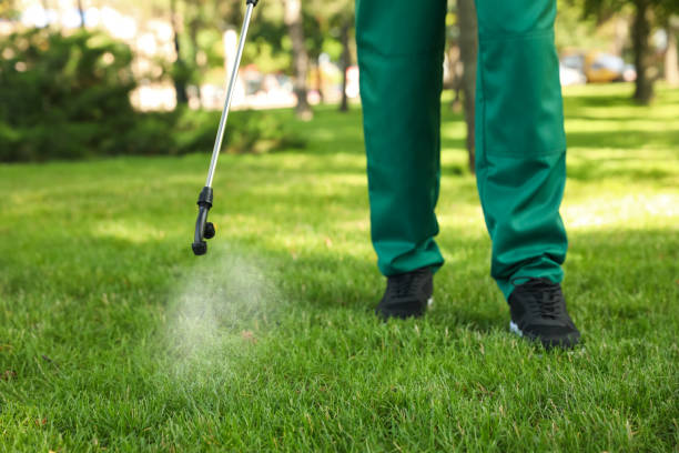Best Pest Control Near Me  in Green Island, NY