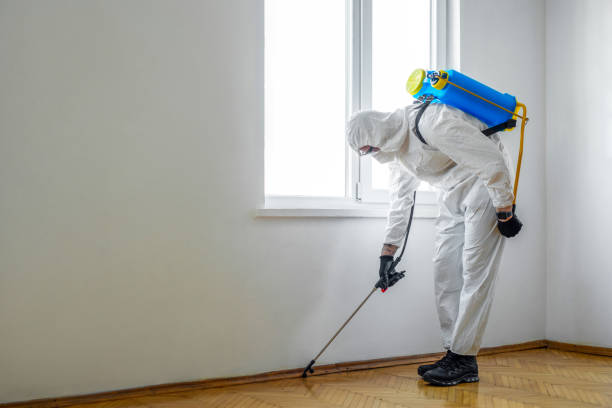 Best Bed Bug Extermination  in Green Island, NY