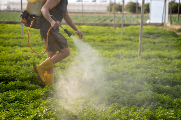 Best Best Pest Control Companies  in Green Island, NY