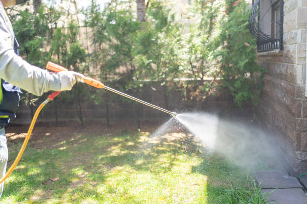 Best Mosquito Control Services  in Green Island, NY