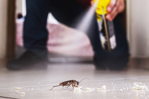 Trusted Green Island, NY Pest Control Experts