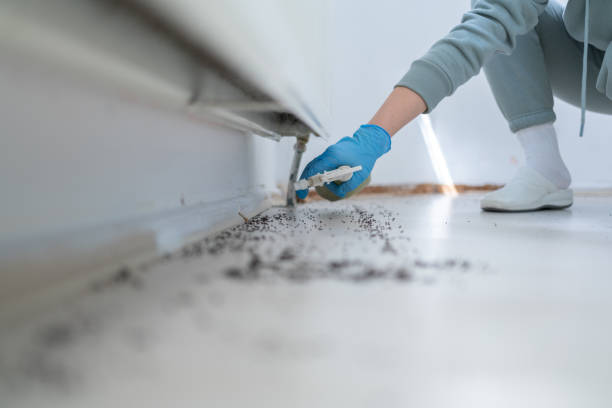 Best Commercial Pest Control Services  in Green Island, NY