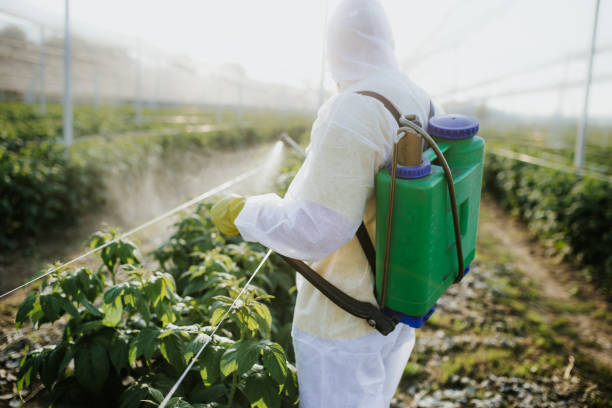 Best Pest Control Near Me in Green Island, NY